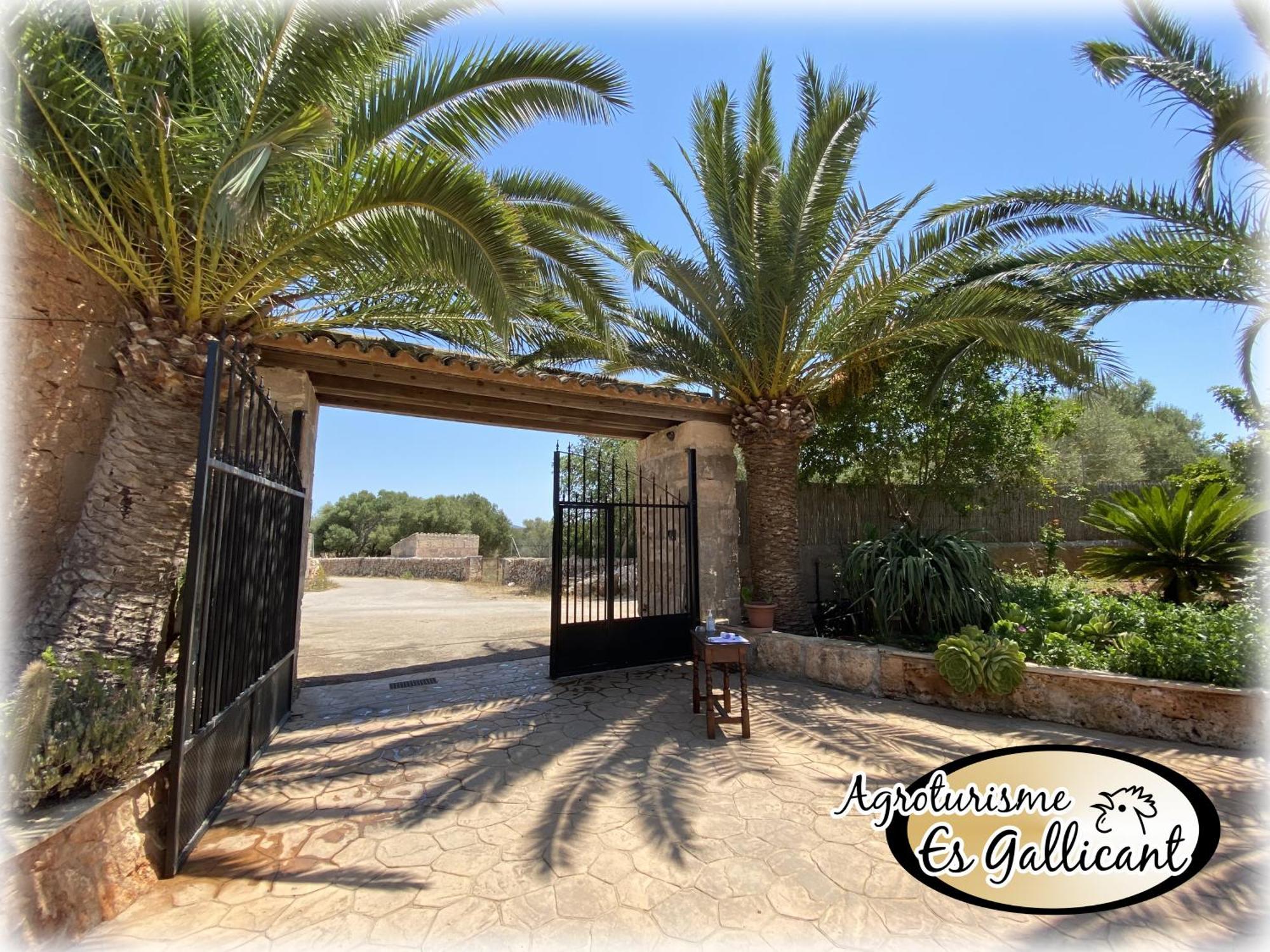 Agroturismo Es Gallicant Campos  Buitenkant foto