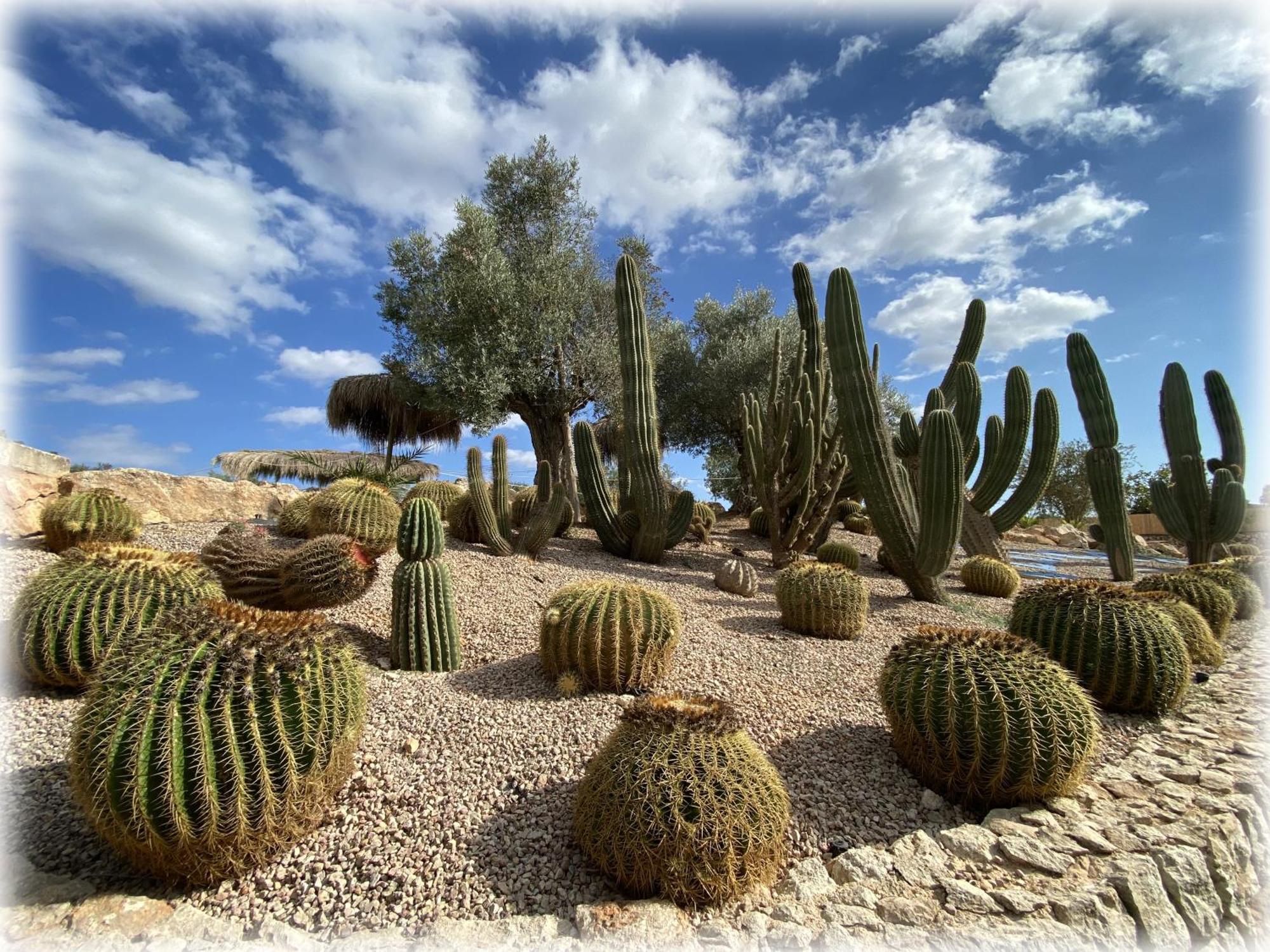 Agroturismo Es Gallicant Campos  Buitenkant foto
